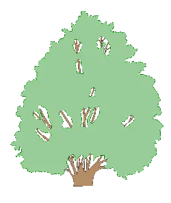 Tree - Designer's Pick PNG - Transparent Background PNG