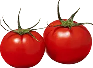 Tomato - circular - red - High Resolution PNG