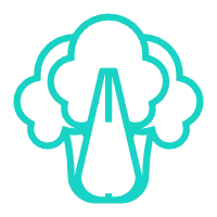 Broccoli - High Resolution PNG - green