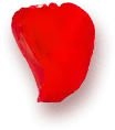 Apple - sMOOTH - Designer Recommended PNG