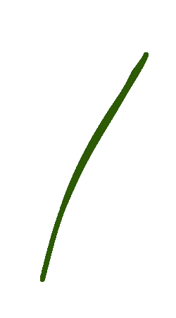 Green Line - graphic design - High Resolution PNG