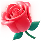 Rose - love - plant - PNG Images
