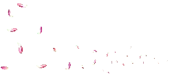 Pink Petals - Fast Download PNG - No Watermark PNG