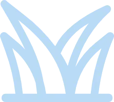 Grass - Free PNG