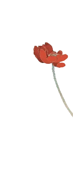 Red Flower - line - PNG Images