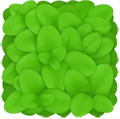 Green Leaves - fresh - Transparent Background PNG