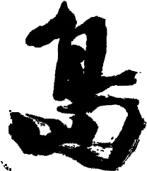 nocturnal animal - Transparent Background PNG - Black Owl