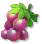 Grape - Popular Download PNG
