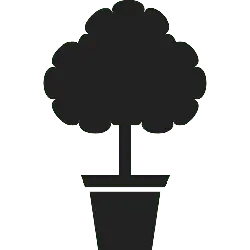 Potted Tree - High Quality PNG