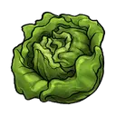 Lettuce - green - fresh - Transparent Background PNG