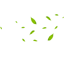 Leaves Falling - falling - Recommended PNG