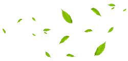 Leaves Falling - green - PNG