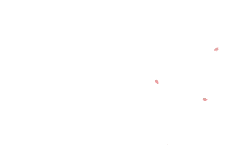 Pink Petals - No Watermark PNG - flower