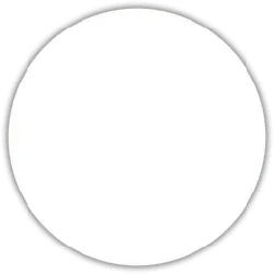 White Circle - Free PNG