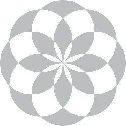Petals Pattern - symmetry - geometric shape - Free PNG