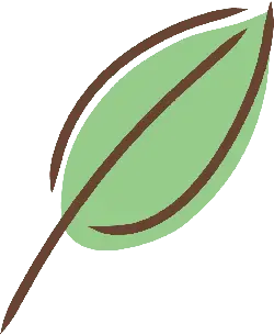 Leaf - PNG Images - nature