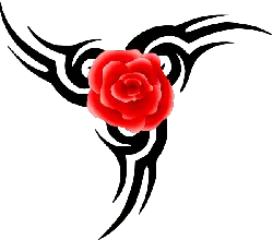 Rose - romantic - Recommended PNG