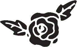 Black Rose - rose - flower - High Resolution PNG