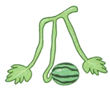 Watermelon Vine - growth - High Resolution PNG