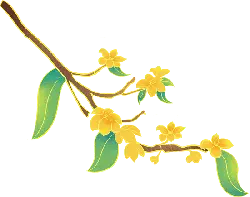 Yellow Flowering Branch - green - Free Download PNG