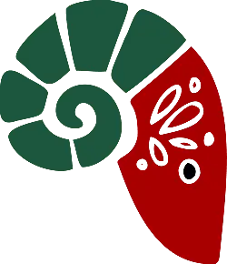 Nautilus Shell - green - PNG Images