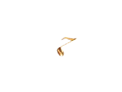 Gold Note - High Quality PNG