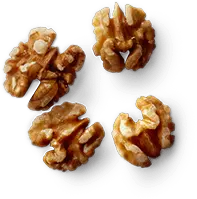 Walnut Kernel - nut - healthy food - Transparent Layer PNG
