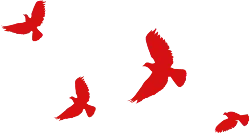 Flying Red Birds - silhouette - High Resolution PNG