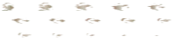Butterflies - wings - High Resolution PNG