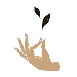 Hand Holding Leaves - leaves - Transparent Layer PNG