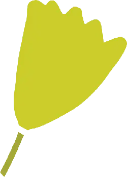 Yellow Flower - petal - High Resolution PNG