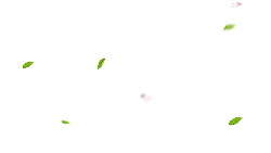 Cherry Blossom Petals Falling - Lossless PNG