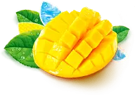 Mango - fruit - Designer's Pick PNG