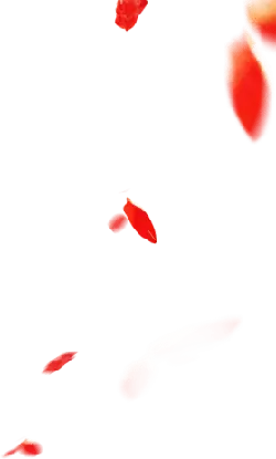 Red Petals - petal - Recommended PNG