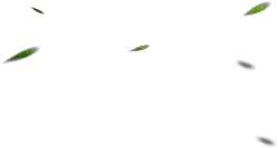 Green Light Spots - No Watermark PNG