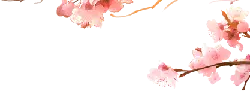 Cherry Blossom - Highly Rated PNG - nature - Pic 1