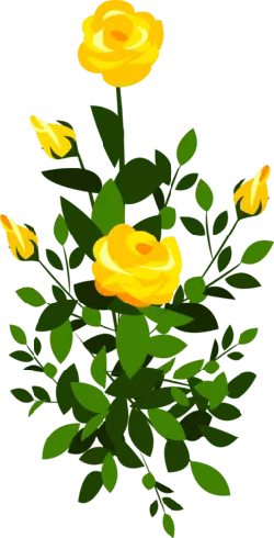 Yellow Rose - Free for Commercial Use PNG - rose