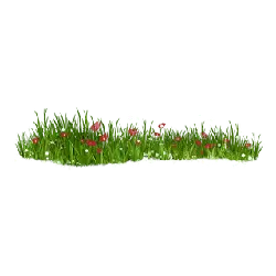 Grassland - nature - plant - No Background PNG