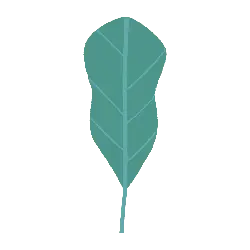 Leaf - Highly Rated PNG - Lossless PNG