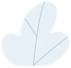 Feather - natural - Recommended PNG