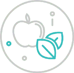 Apple and Leaves - nature - Transparent Layer PNG