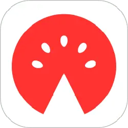Watermelon - circle - sweet - Free PNG