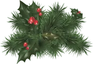 Holly Leaves and Berries - High Resolution PNG