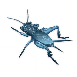 Cockroach - transparent - Free Download PNG