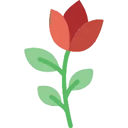 Red Flower - stem - PNG