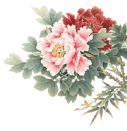 Peony - Designer's Pick PNG - flower