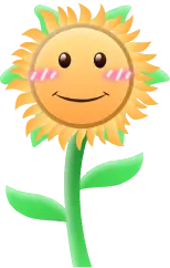 Smiling Sunflower - plant - No Background PNG
