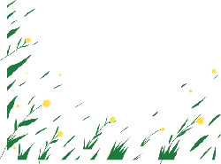 Fireflies - grassland - PNG Images