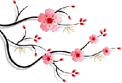 pink - High Resolution PNG - Cherry Blossom - Pic 1