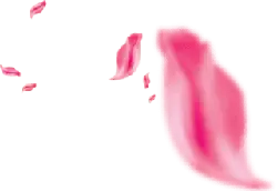 Pink Petals - High Download Count PNG - pink